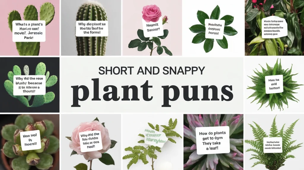 Short and Snappy Plant Puns