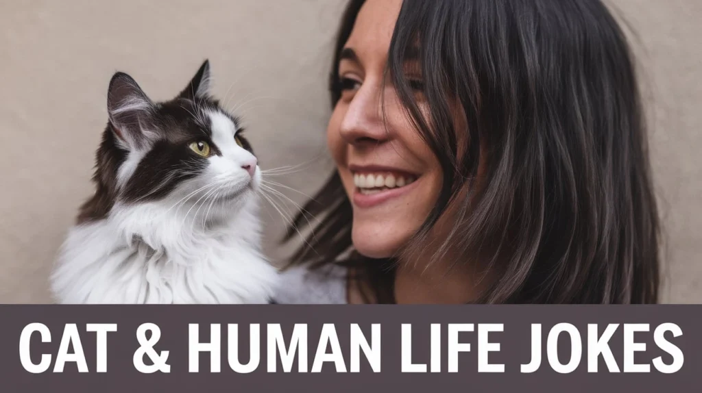 Cat & Human Life Jokes