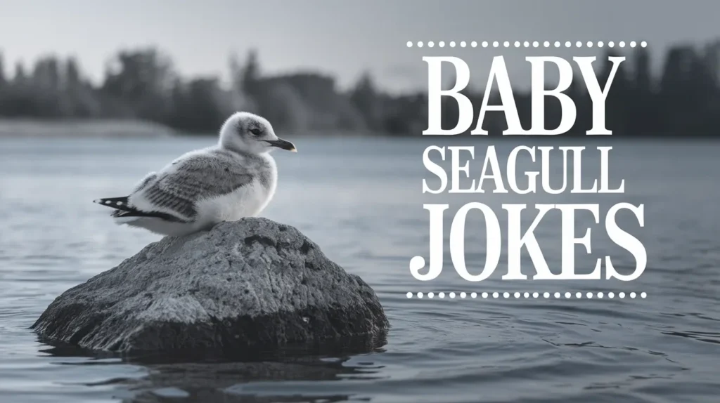 Baby Seagull Jokes