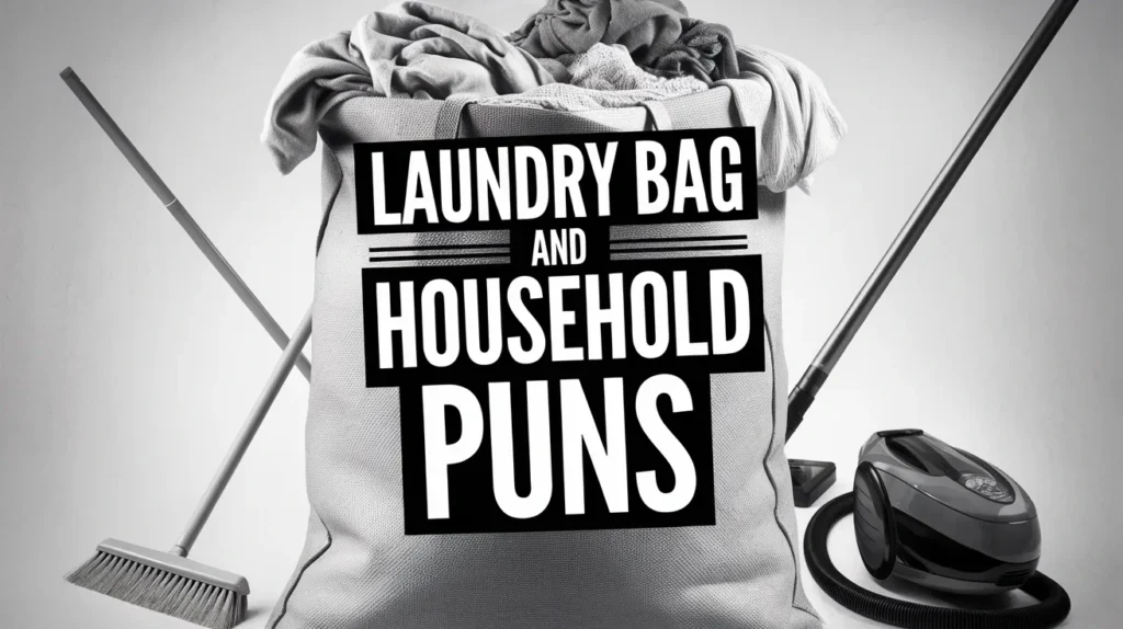 Laundry Bag and Household Puns