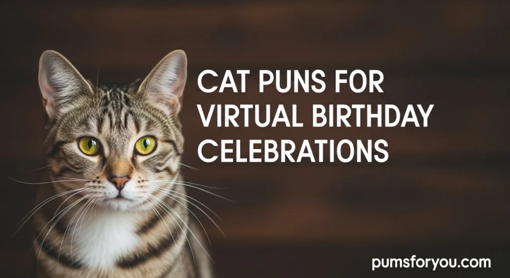 Cat Puns for Virtual Birthday Celebrations