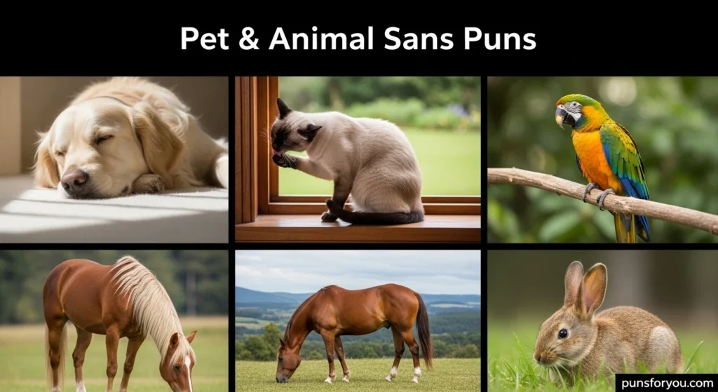 Pet & Animal Sans Puns