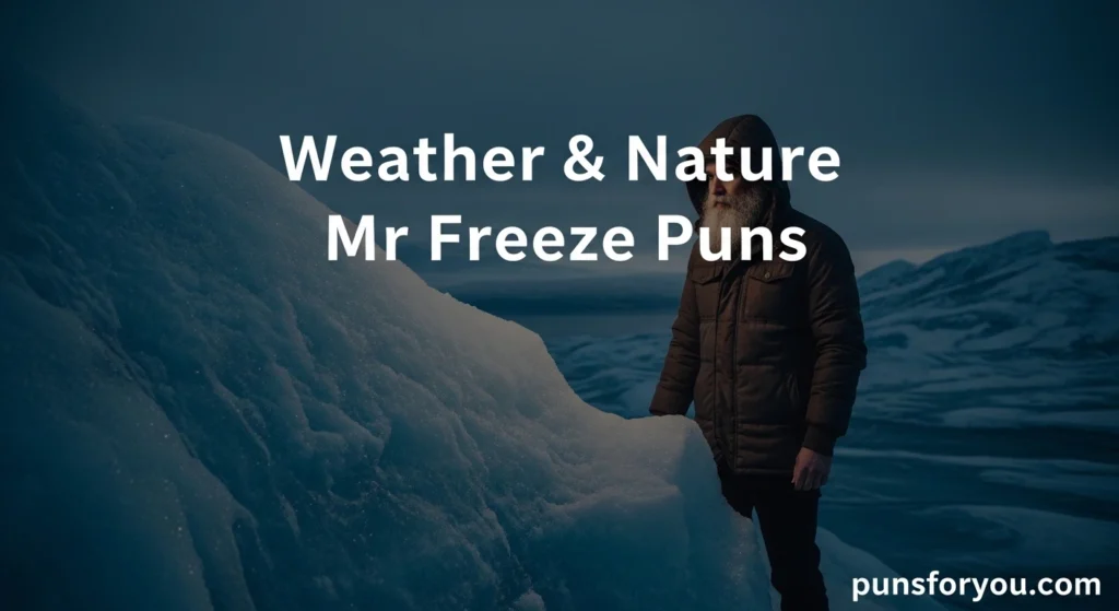 Weather & Nature Mr Freeze Puns