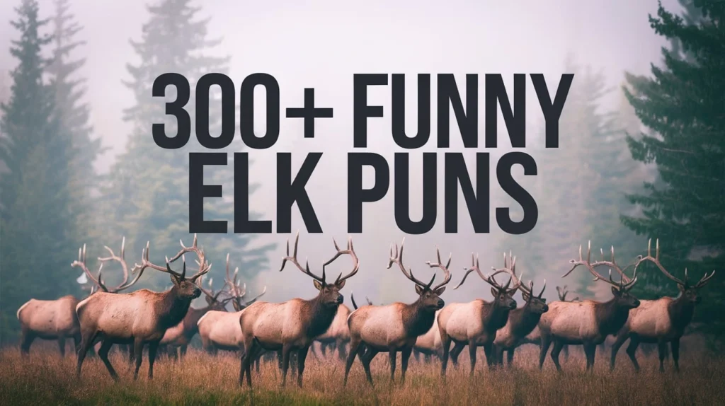 Funny Elk Puns