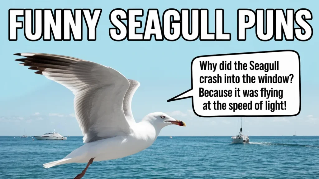 Funny Seagull Puns