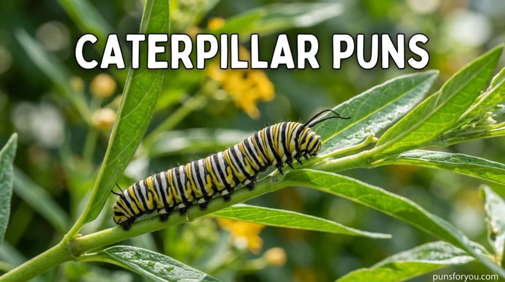 Caterpillar Puns