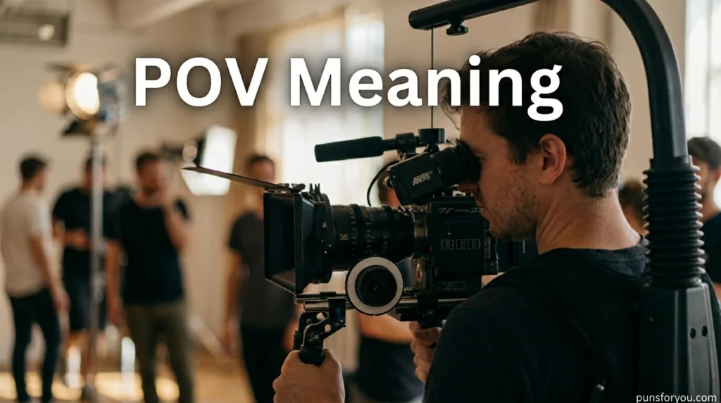 POV Meaning